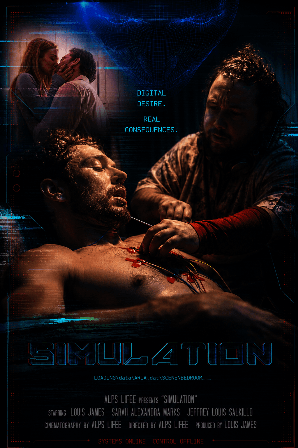 Simulation
